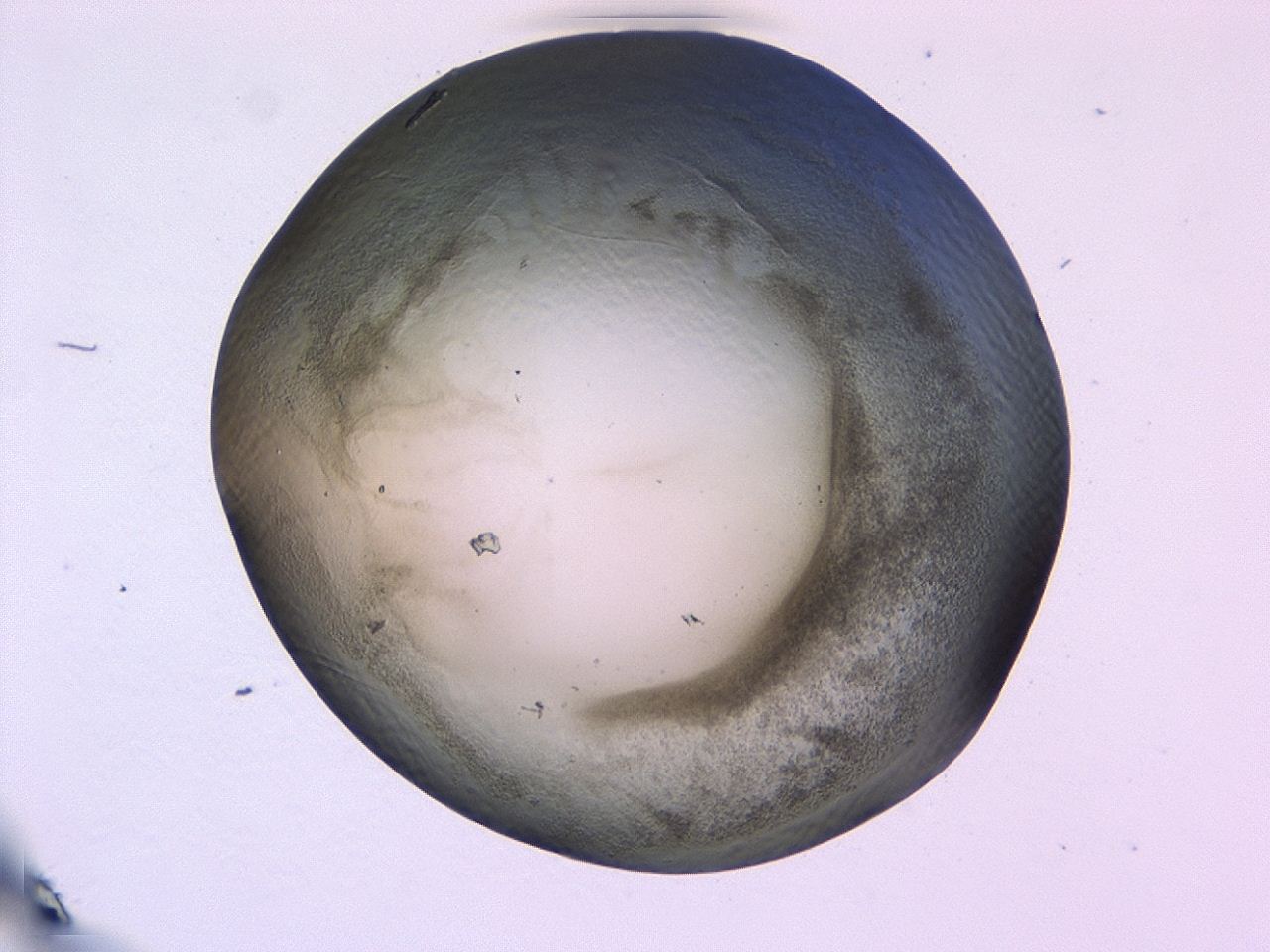 0479_G4_ImagerDefaults_3.jpg