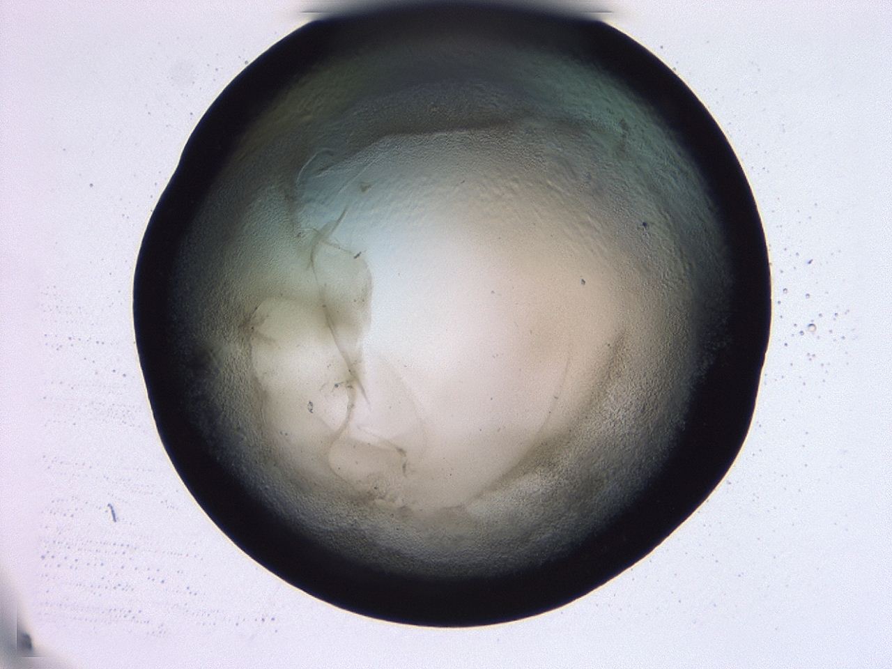 0479_G5_ImagerDefaults_3.jpg