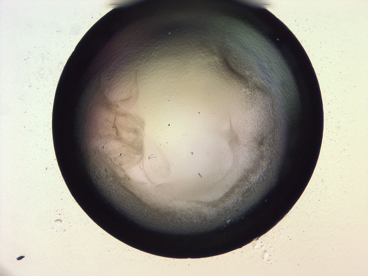 0479_G6_ImagerDefaults_3.jpg