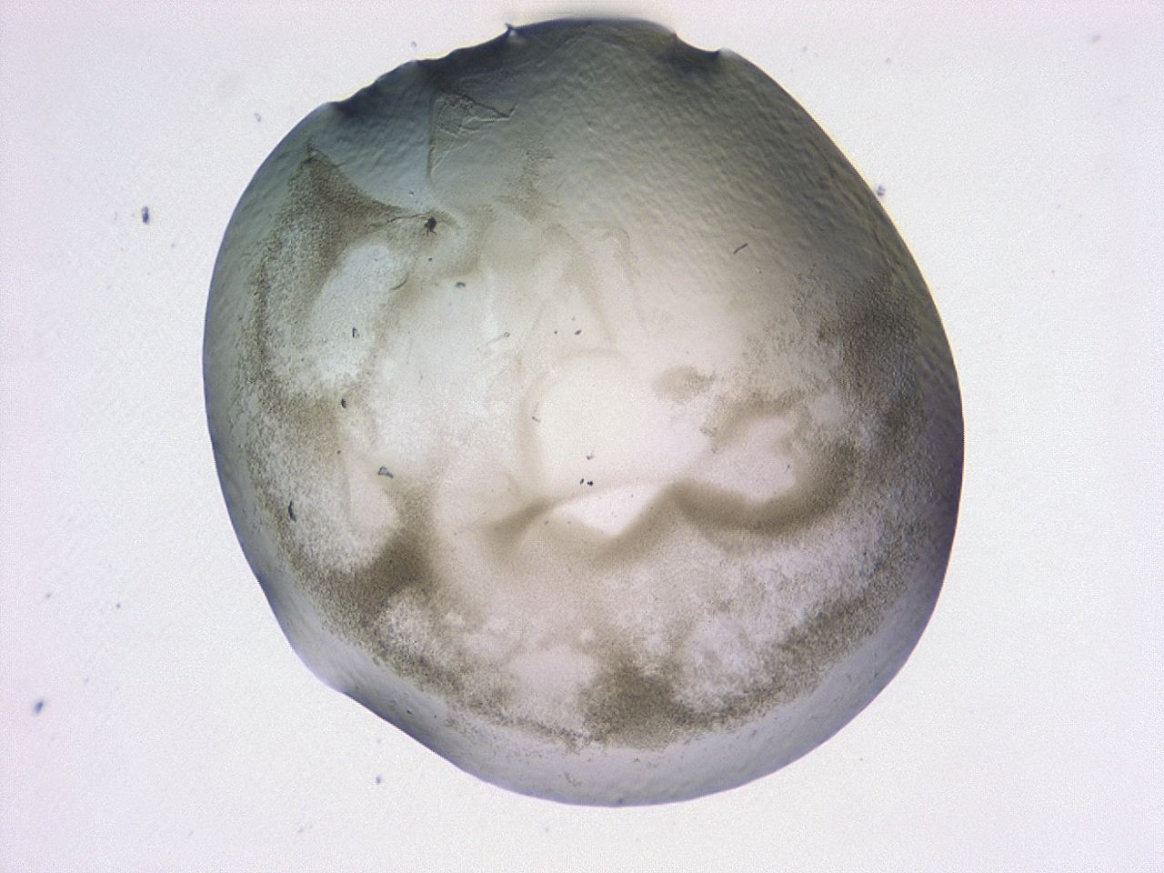 0479_G9_ImagerDefaults_3.jpg