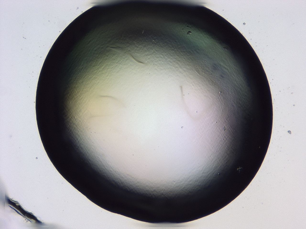 0479_G10_ImagerDefaults_0.jpg