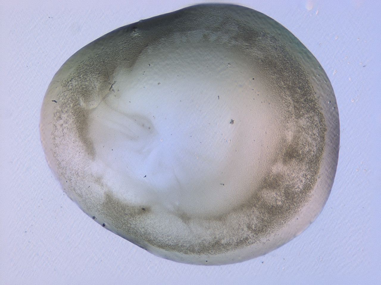 0479_G11_ImagerDefaults_3.jpg