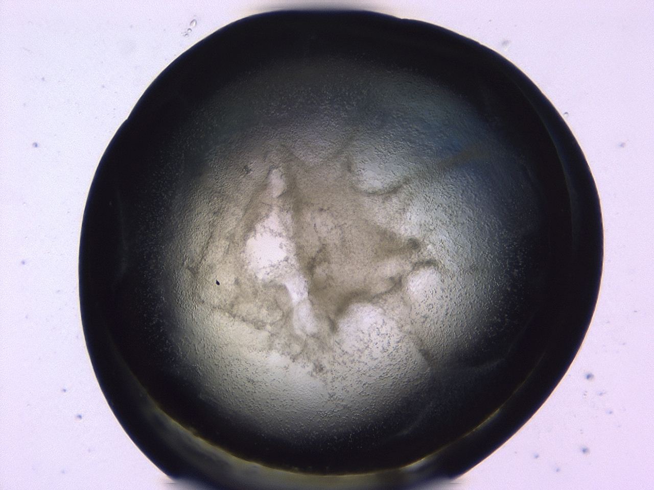 0479_G12_ImagerDefaults_3.jpg
