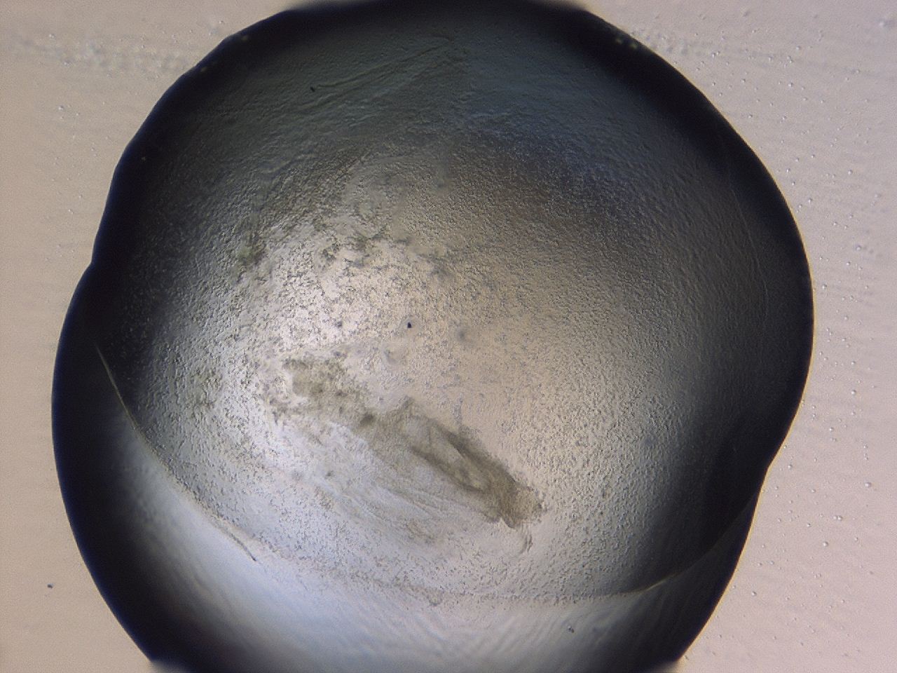 0479_H1_ImagerDefaults_3.jpg