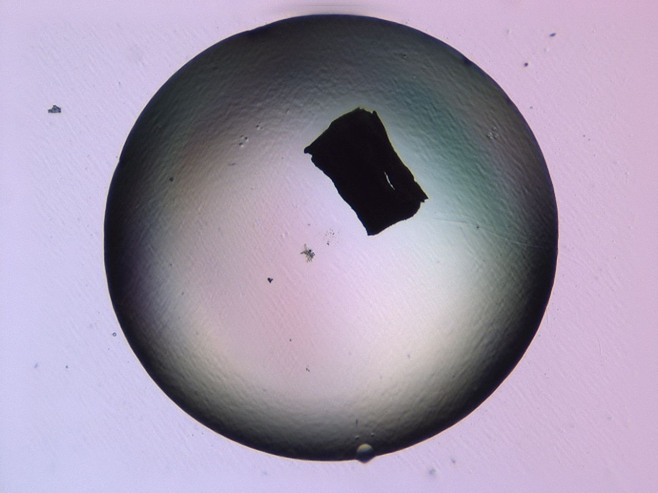 0479_H2_ImagerDefaults_1.jpg