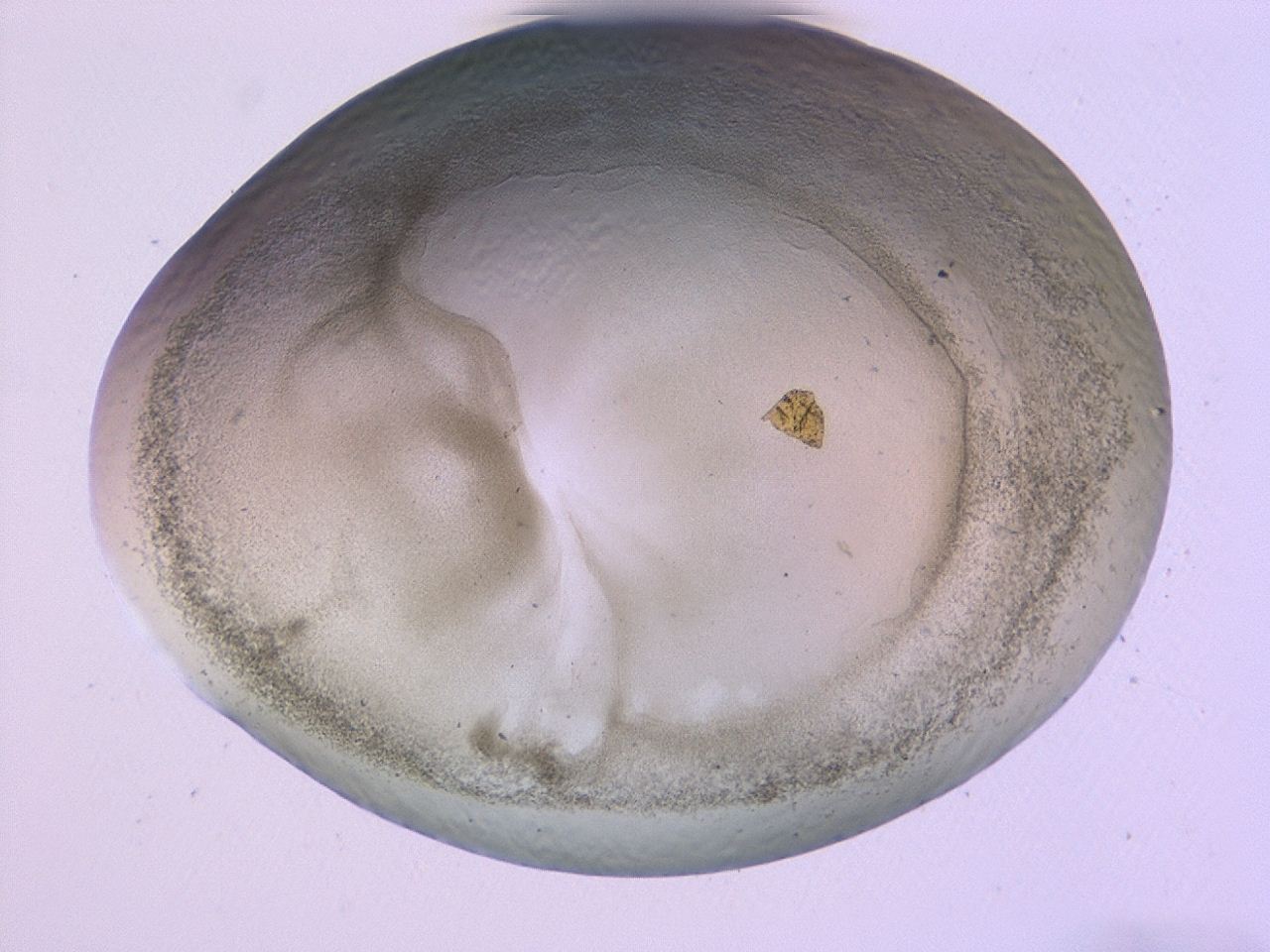 0479_H3_ImagerDefaults_3.jpg