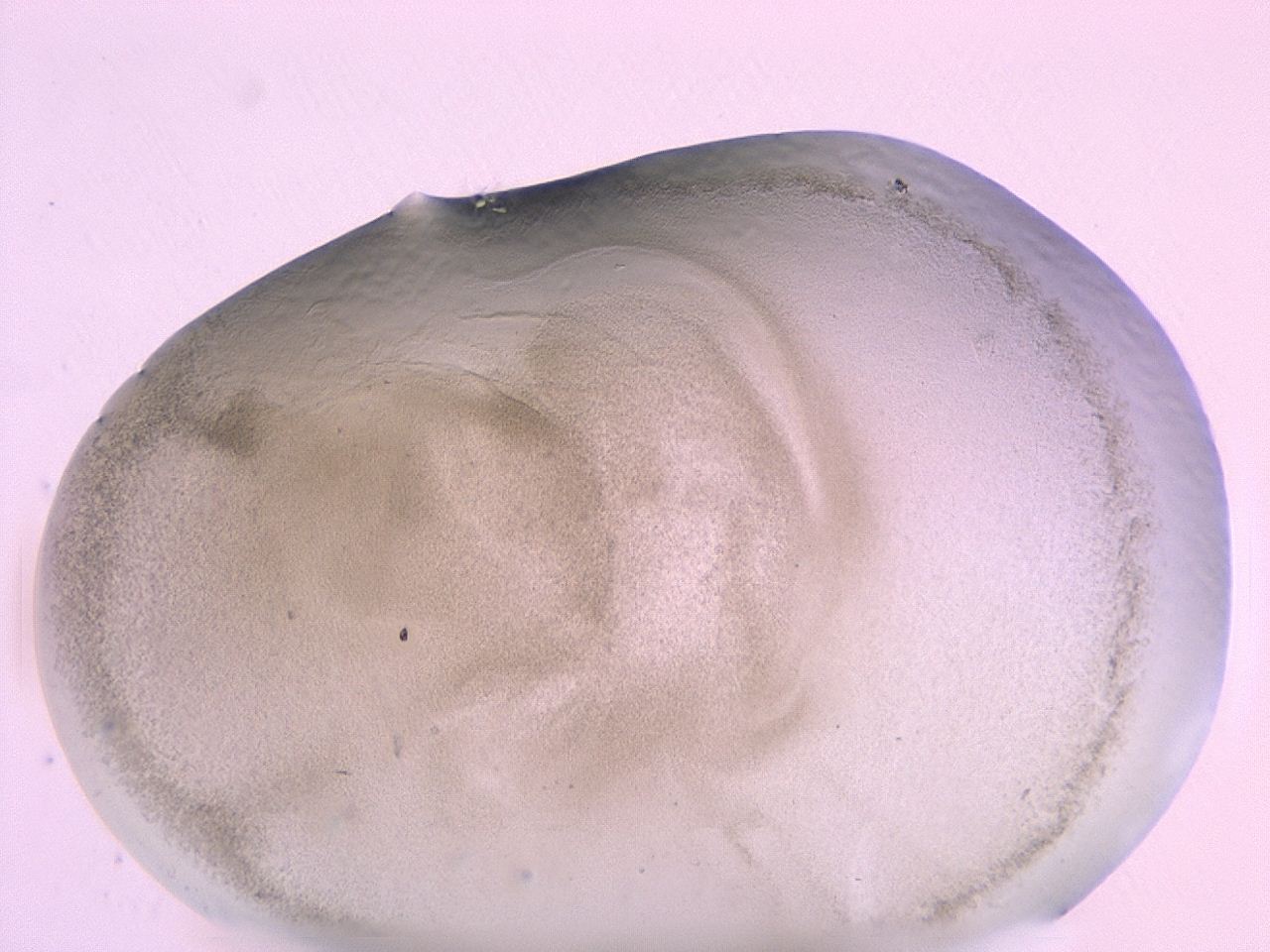 0479_H6_ImagerDefaults_3.jpg