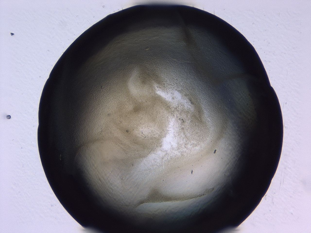 0479_H8_ImagerDefaults_3.jpg