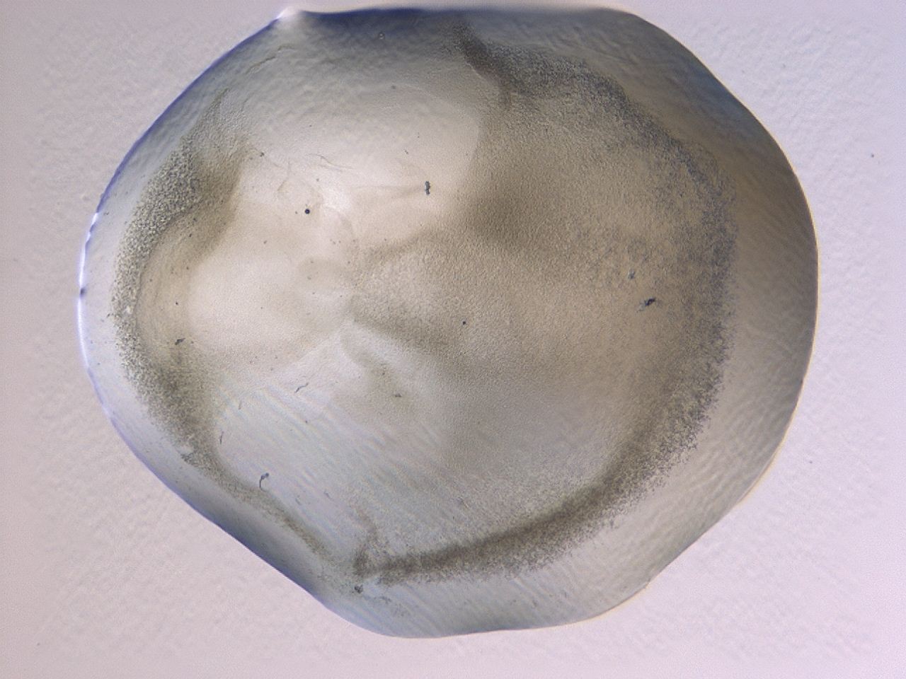 0479_H9_ImagerDefaults_3.jpg