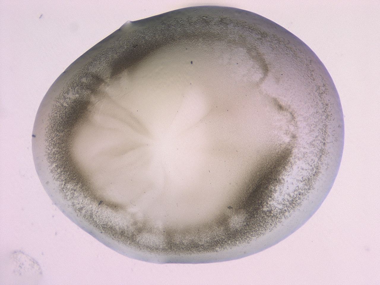 0479_H10_ImagerDefaults_3.jpg