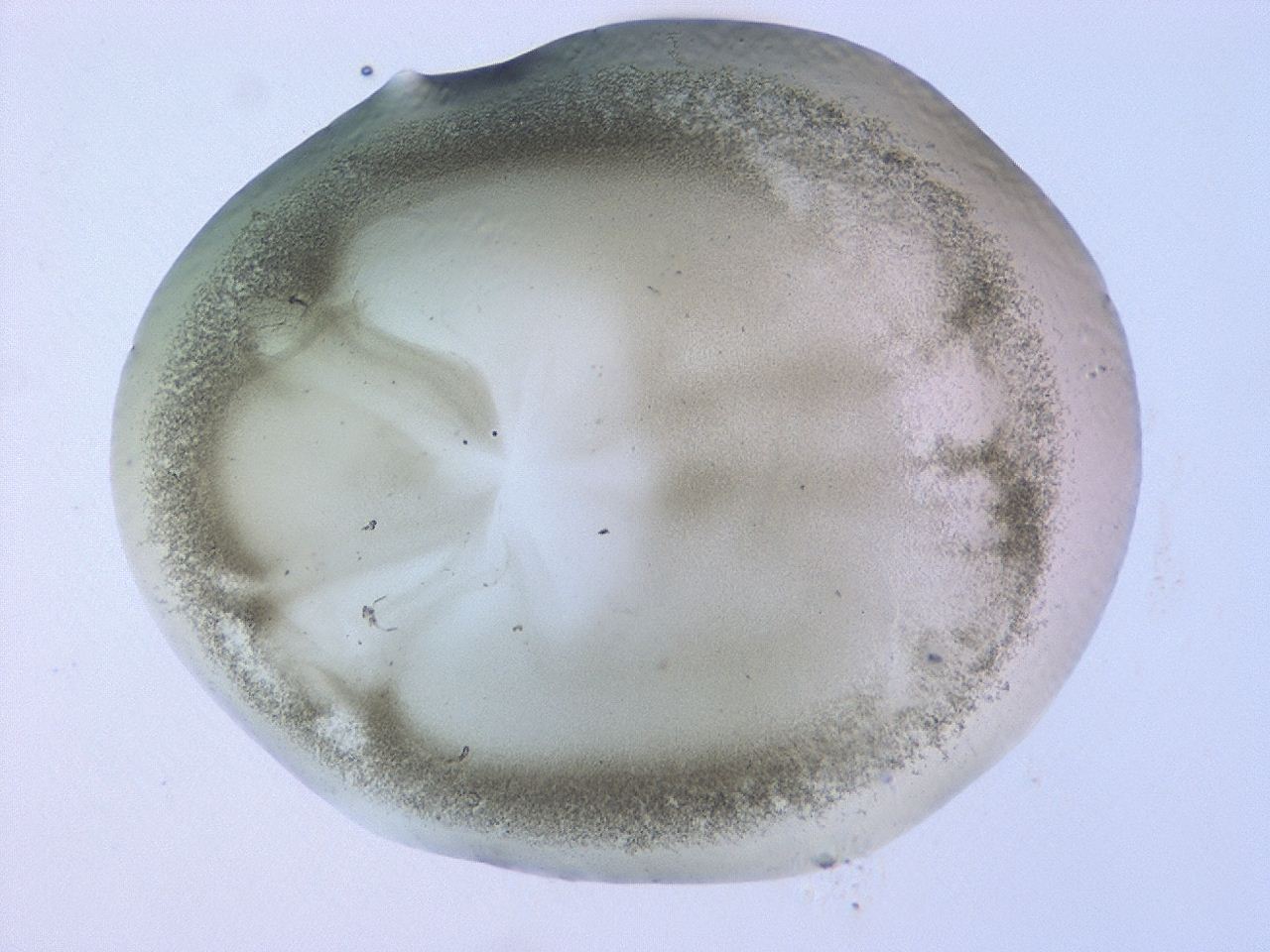 0479_H11_ImagerDefaults_3.jpg