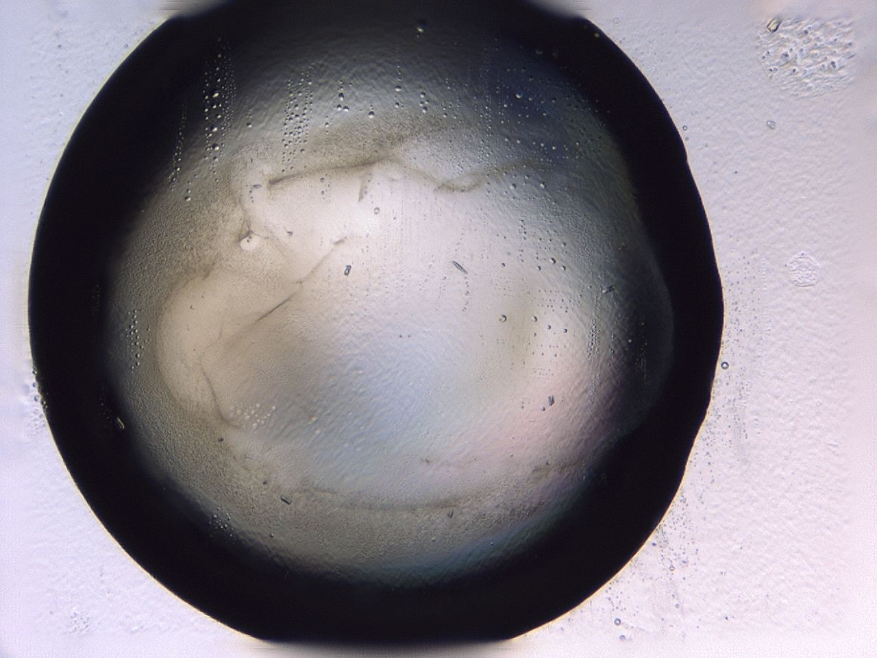 0479_H12_ImagerDefaults_3.jpg