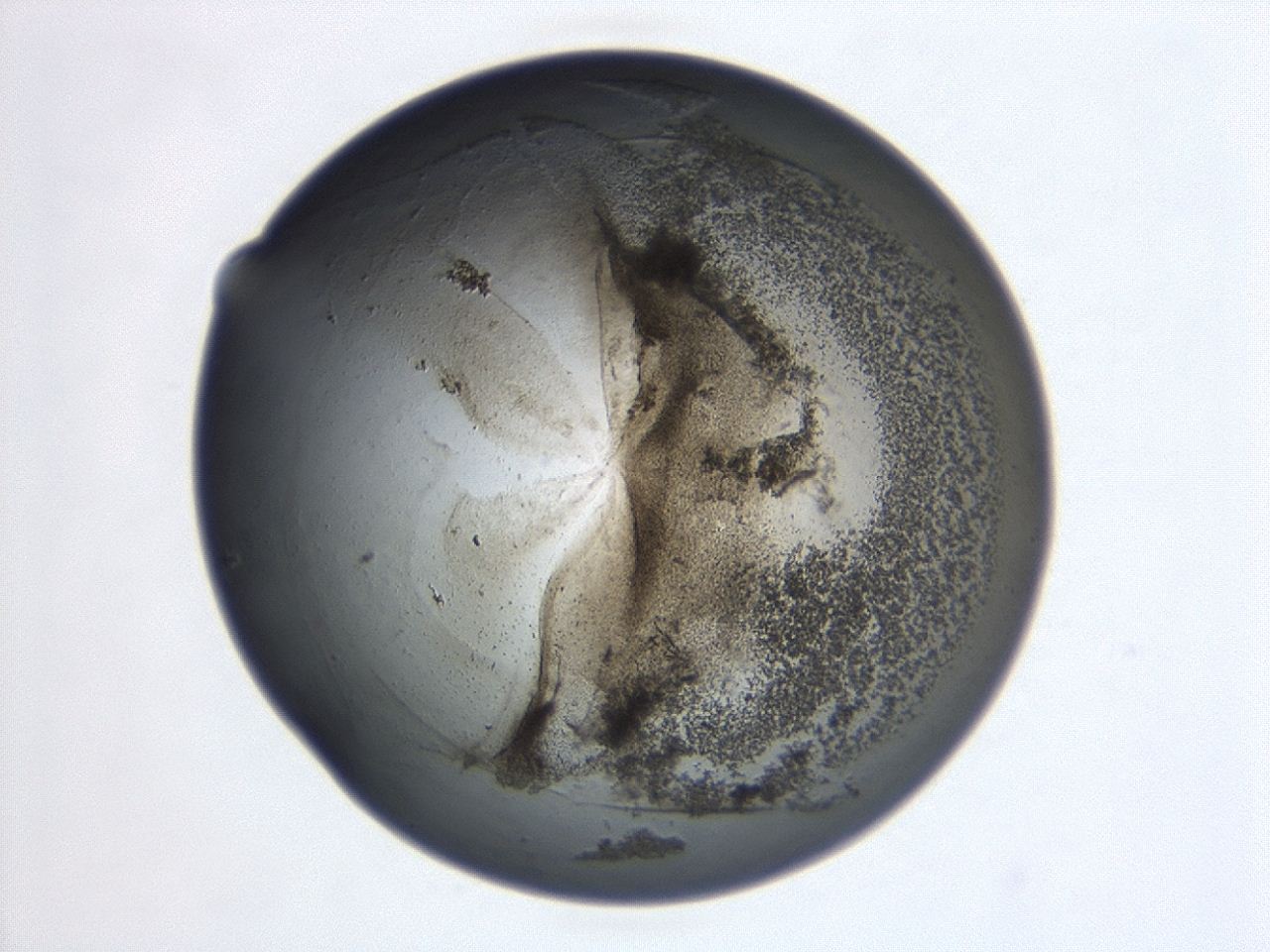047a_E2_ImagerDefaults_3.jpg