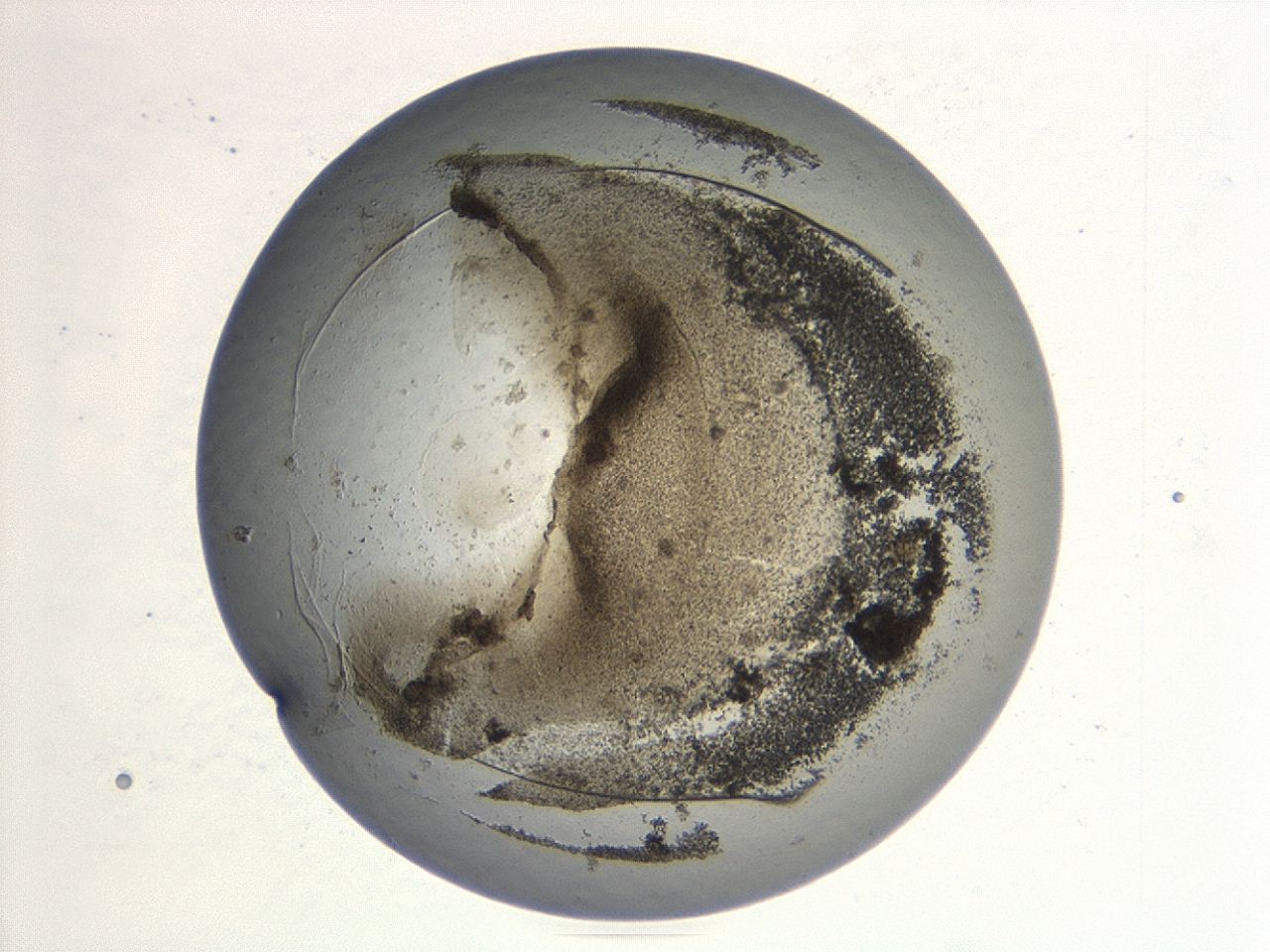 047a_E4_ImagerDefaults_3.jpg