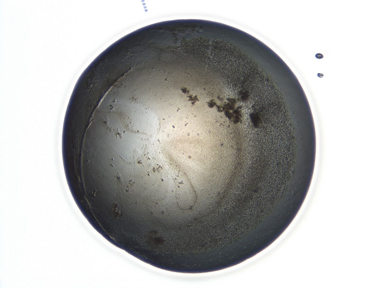 047a_B10_ImagerDefaults_3.jpg