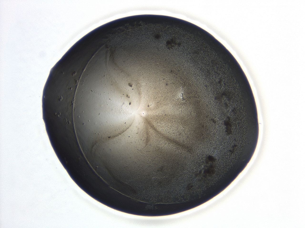 047a_B8_ImagerDefaults_3.jpg