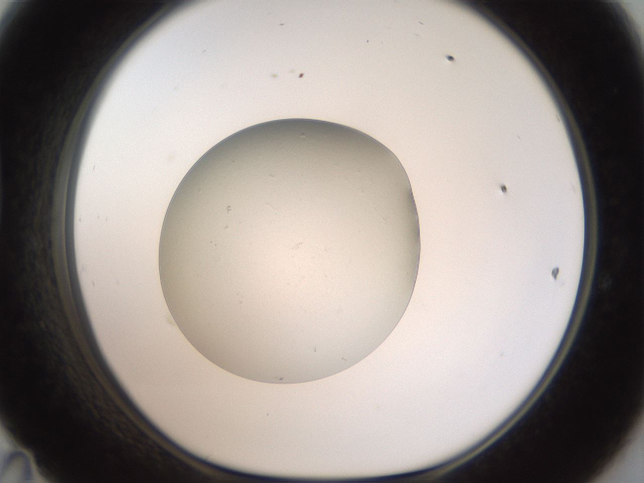 folderID40_plateID2040_batchID9053_wellNum47_profileID1_d1_r137555_ef.jpg