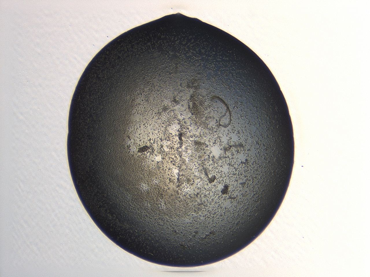 047a_A3_ImagerDefaults_3.jpg