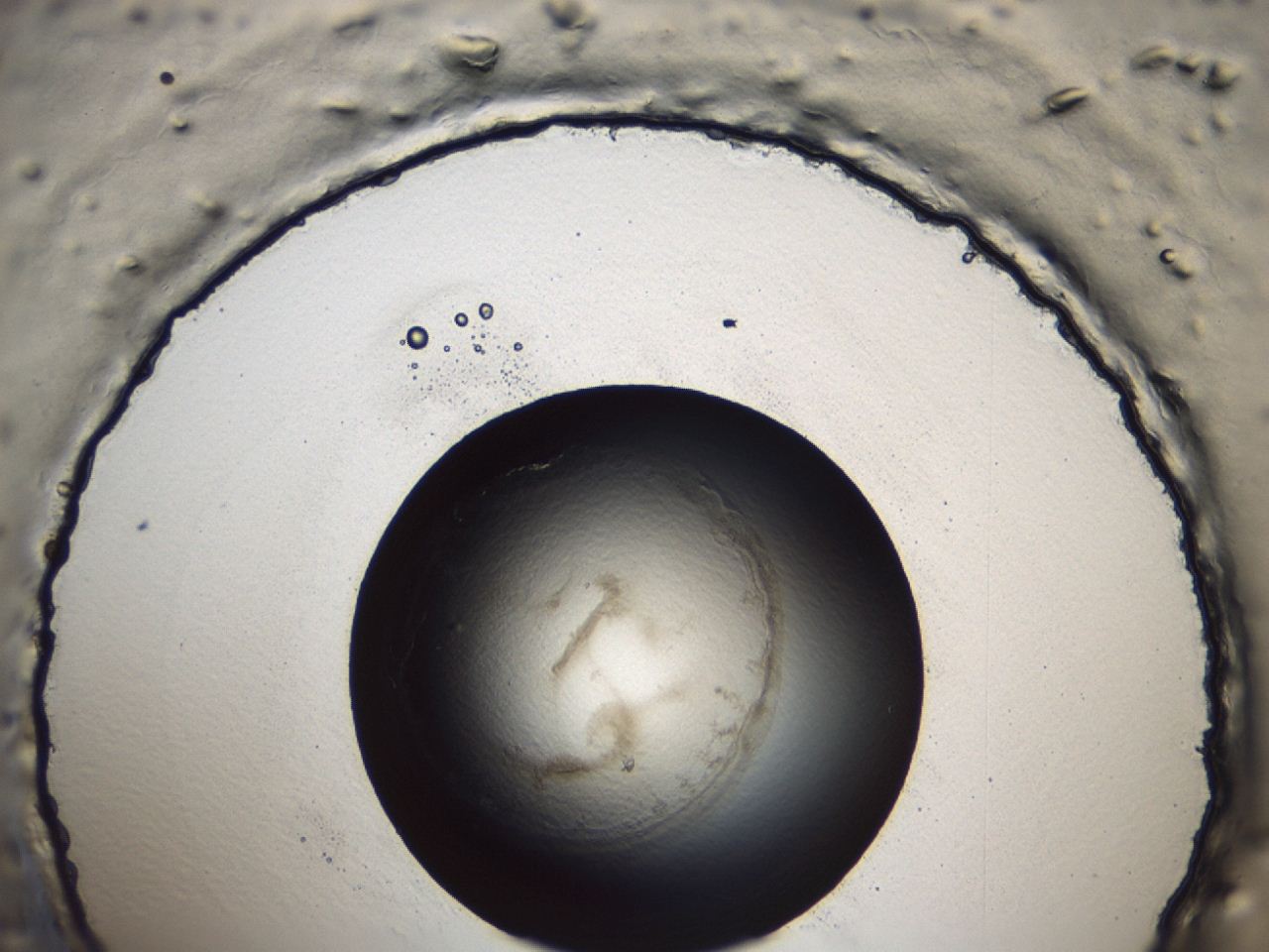 047a_A4_ImagerDefaults_3.jpg