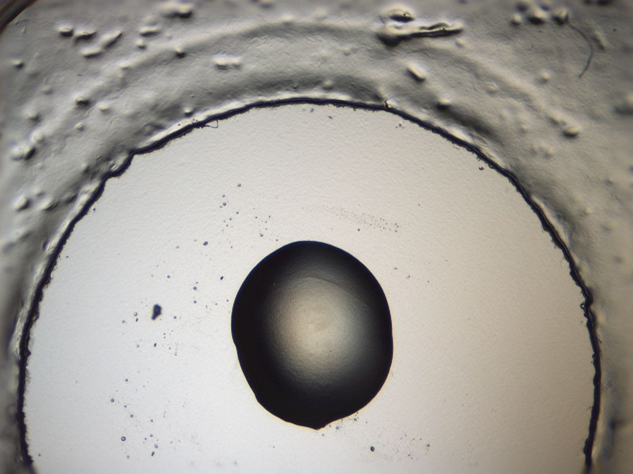 047a_A5_ImagerDefaults_3.jpg