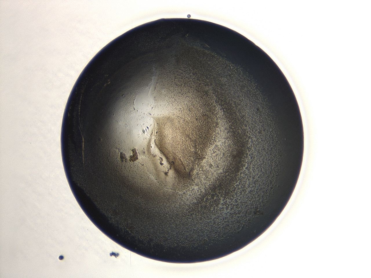 047a_A8_ImagerDefaults_3.jpg