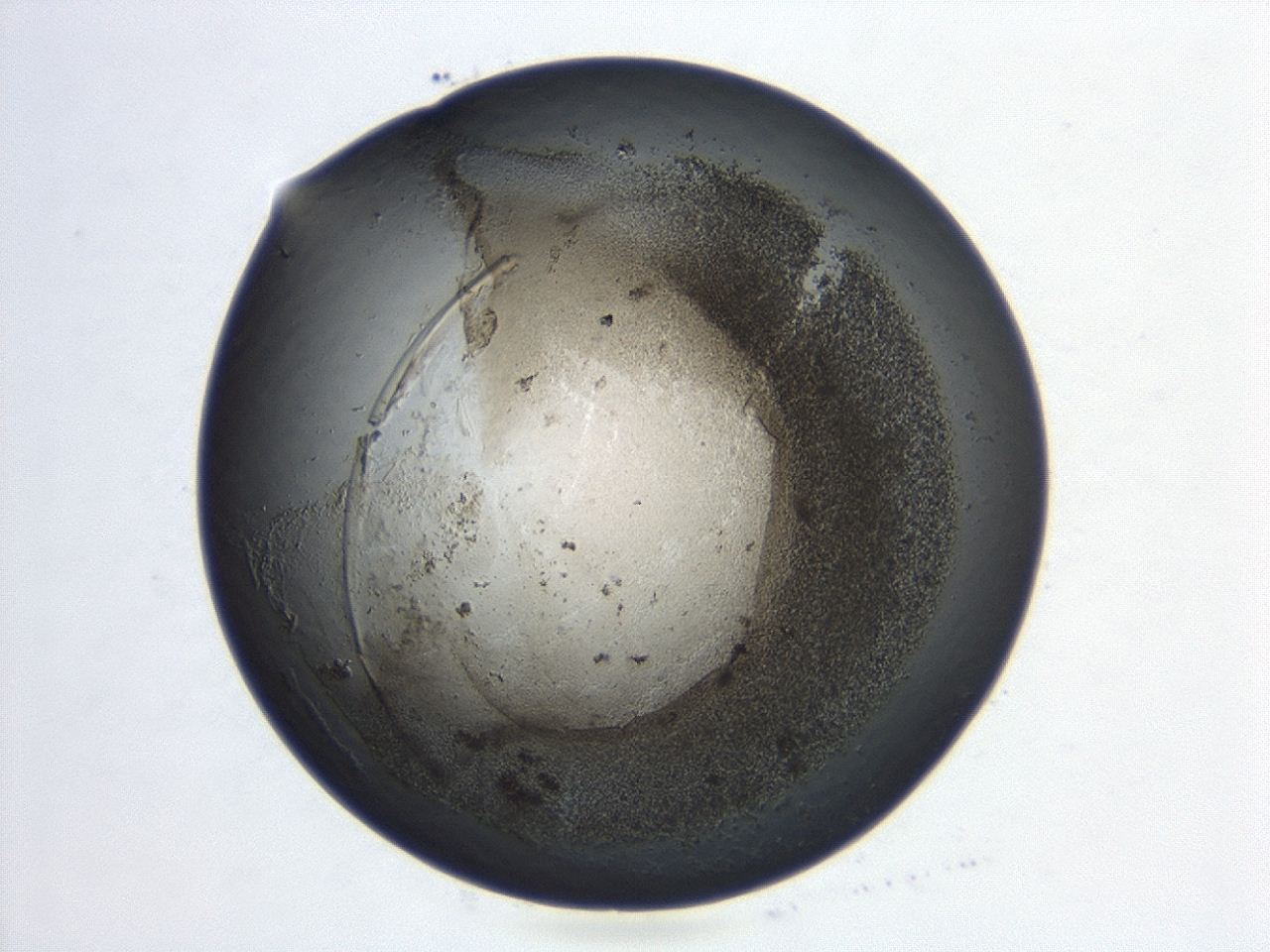 047a_B11_ImagerDefaults_3.jpg