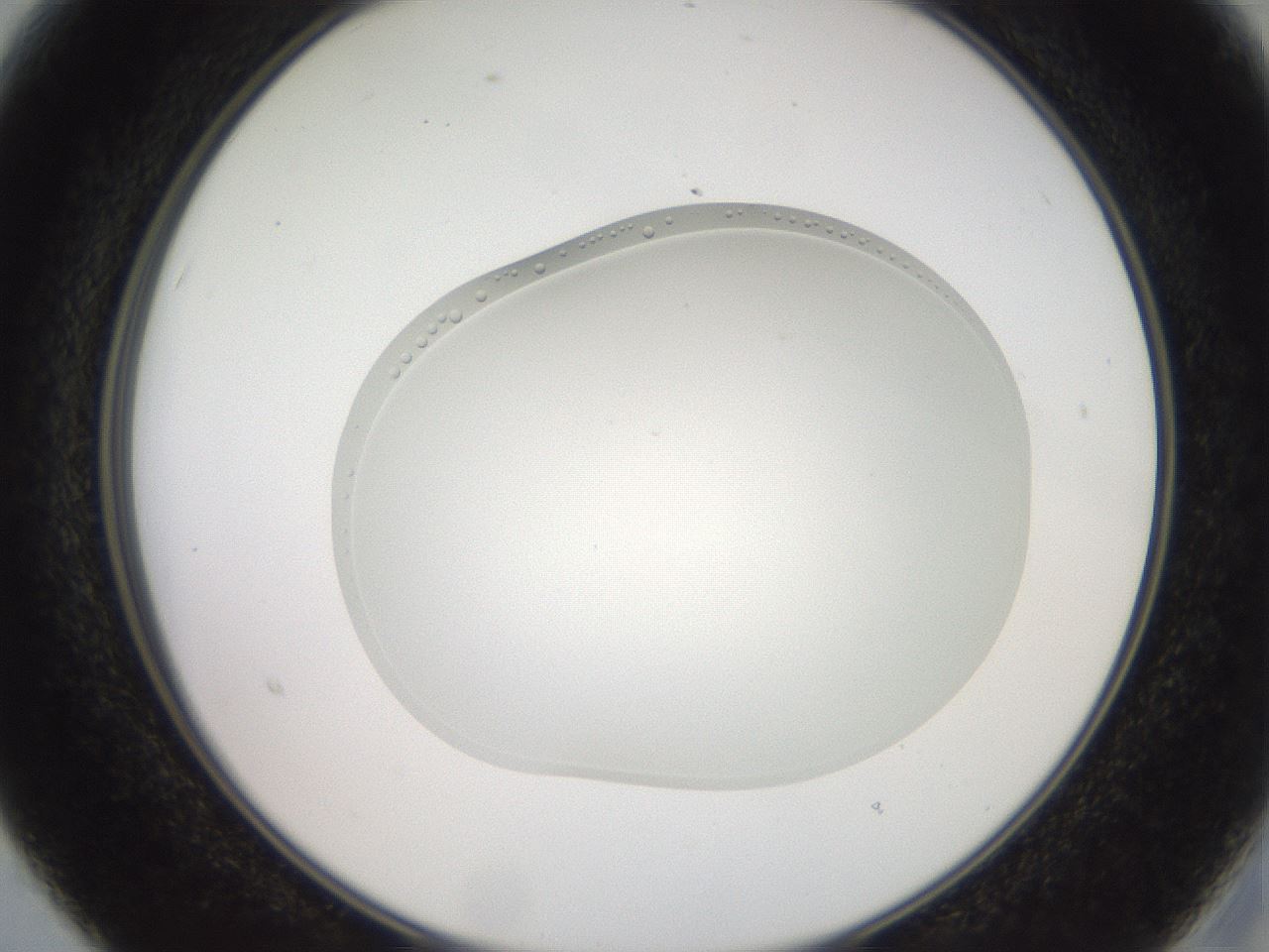 folderID411_plateID3411_batchID21686_wellNum15_profileID1_d2_r303073_ef.jpg