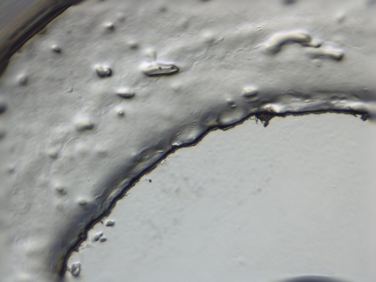 047a_A10_ImagerDefaults_3.jpg