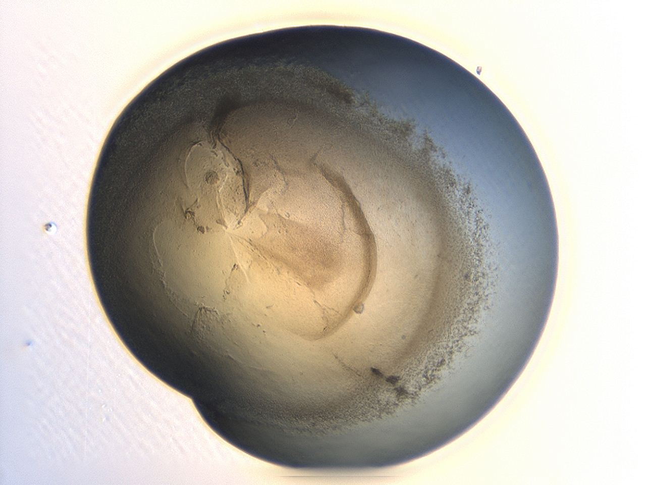047a_A11_ImagerDefaults_3.jpg