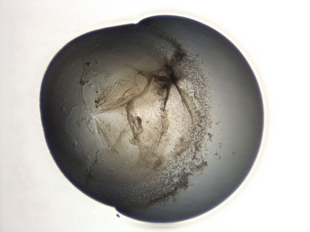 047a_A12_ImagerDefaults_3.jpg