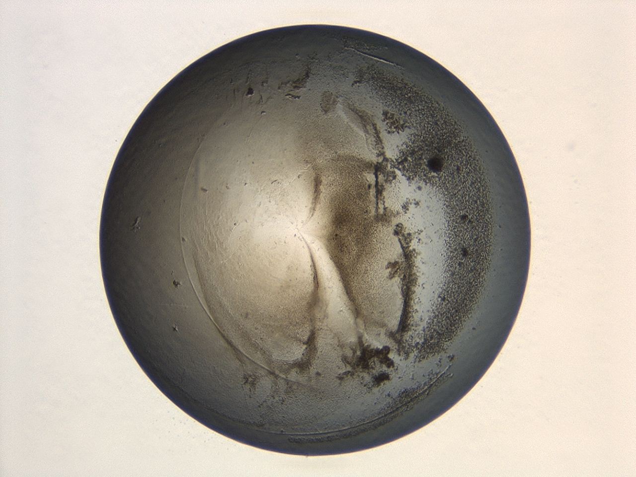 047a_B2_ImagerDefaults_3.jpg