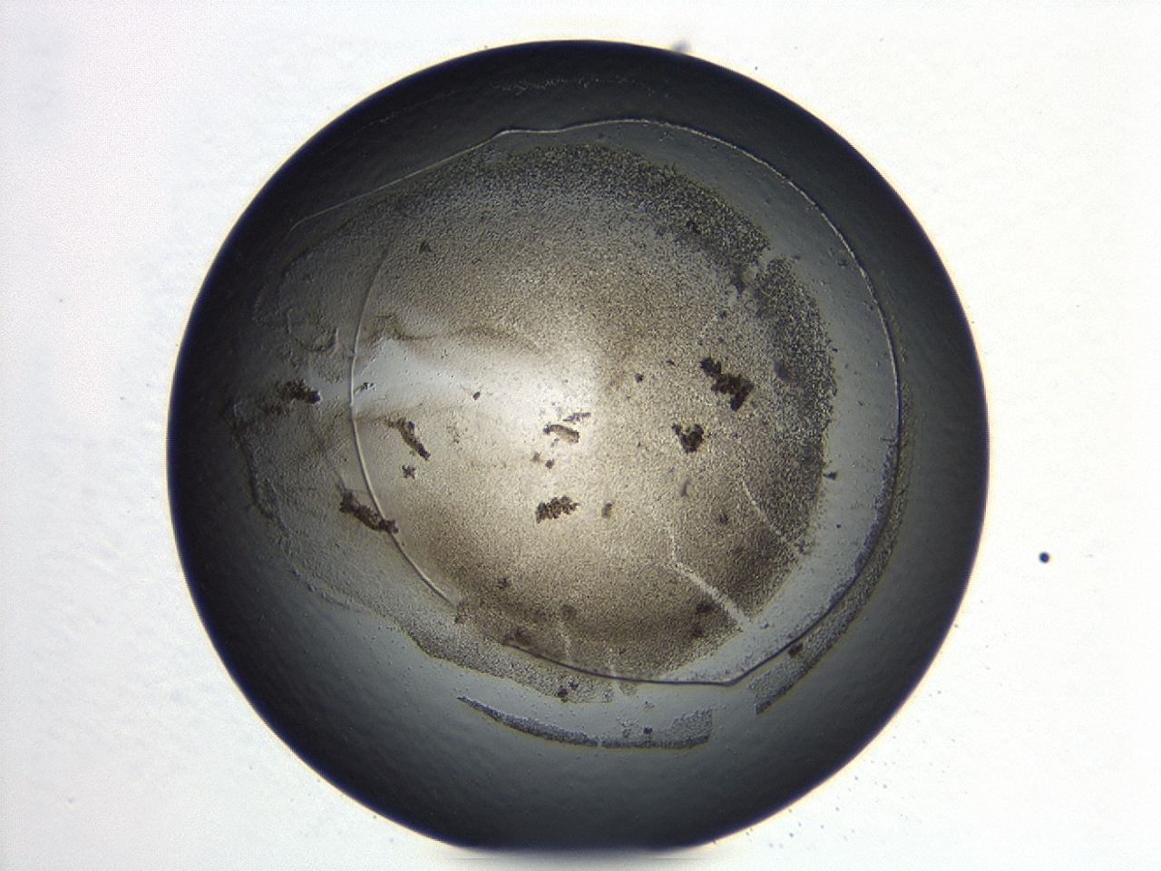 047a_B3_ImagerDefaults_3.jpg