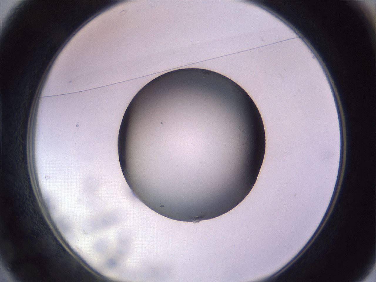 folderID416_plateID1416_batchID5320_wellNum37_profileID1_d1_r86838_ef.jpg