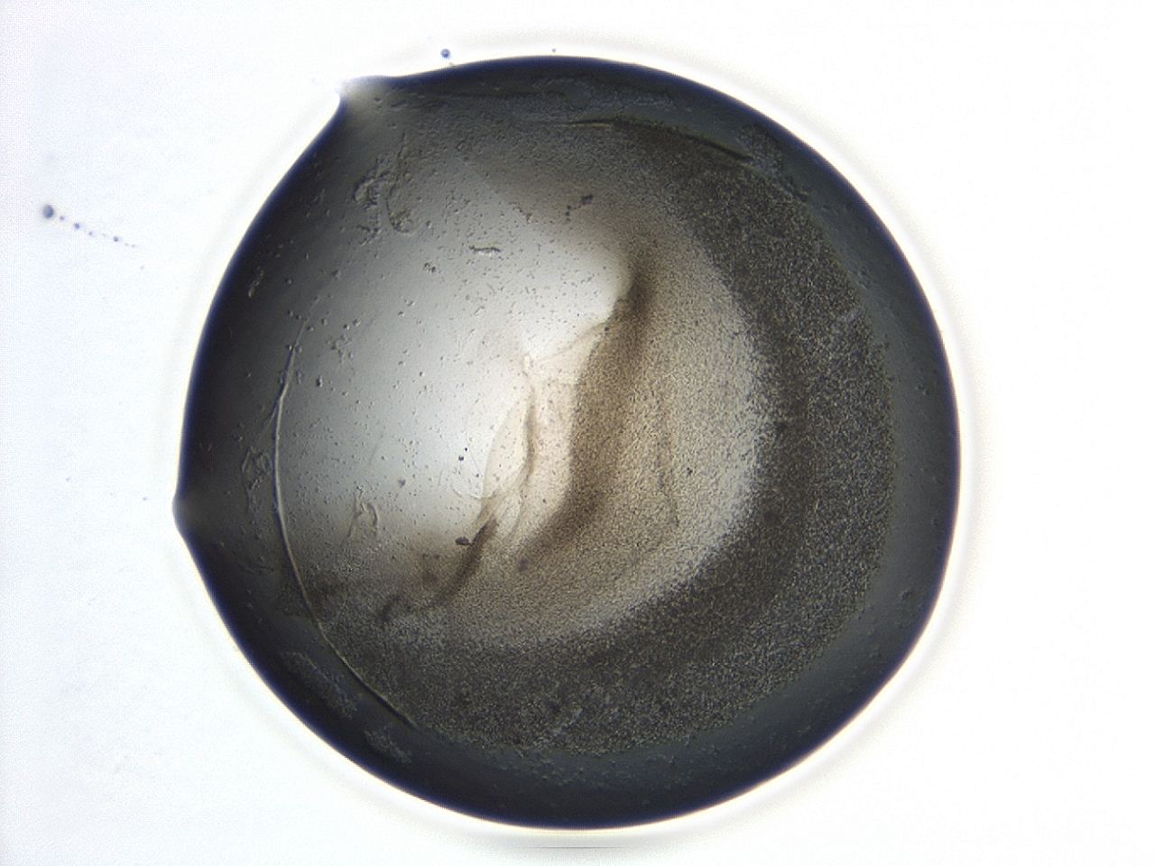 047a_B7_ImagerDefaults_3.jpg