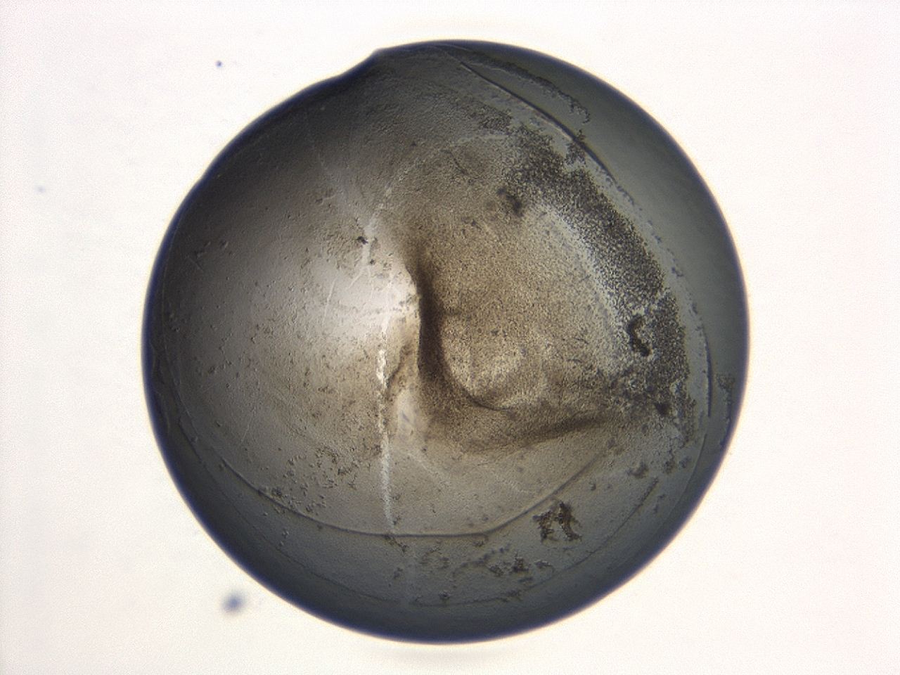 047a_C2_ImagerDefaults_3.jpg