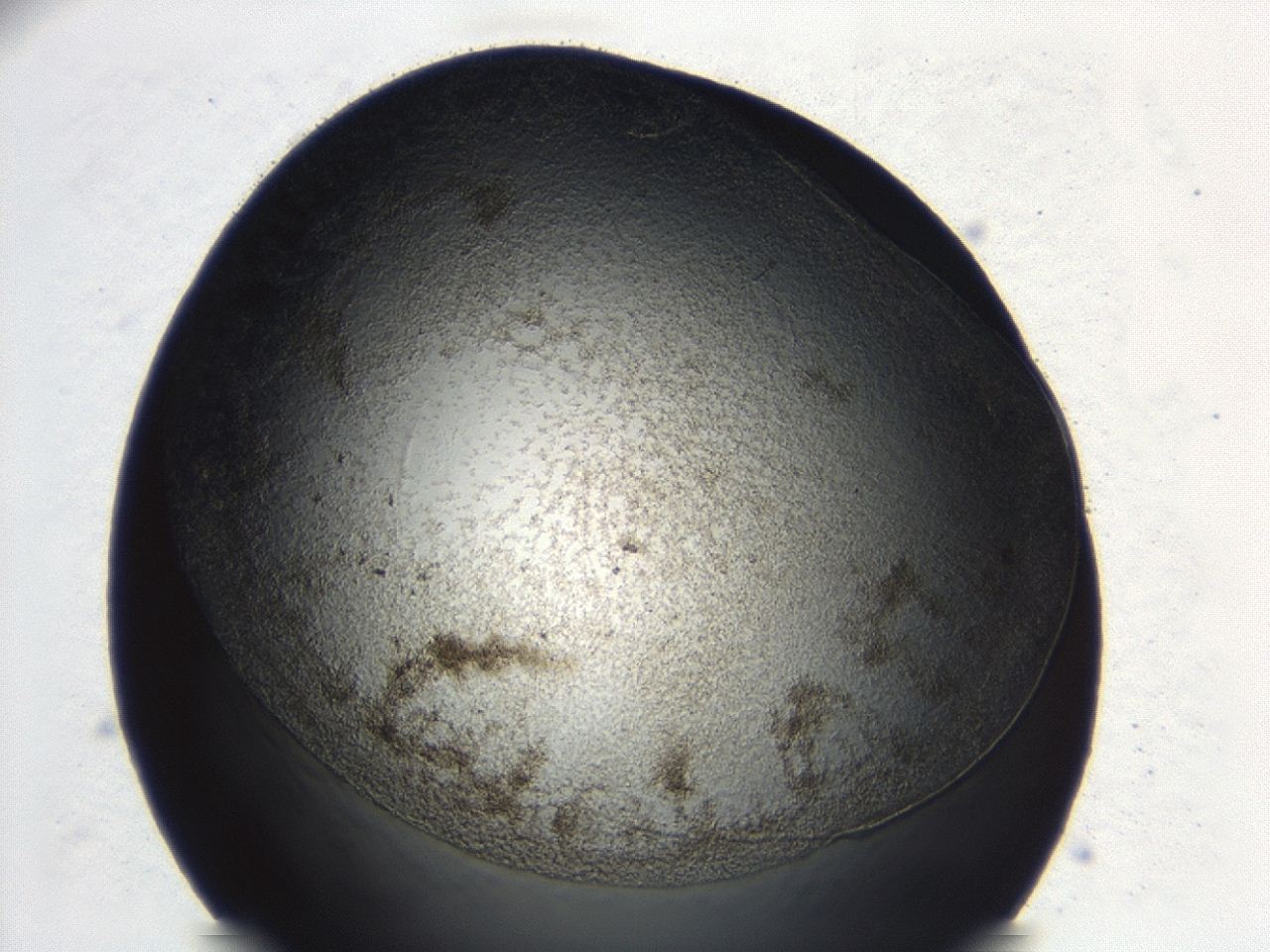 047a_C3_ImagerDefaults_3.jpg