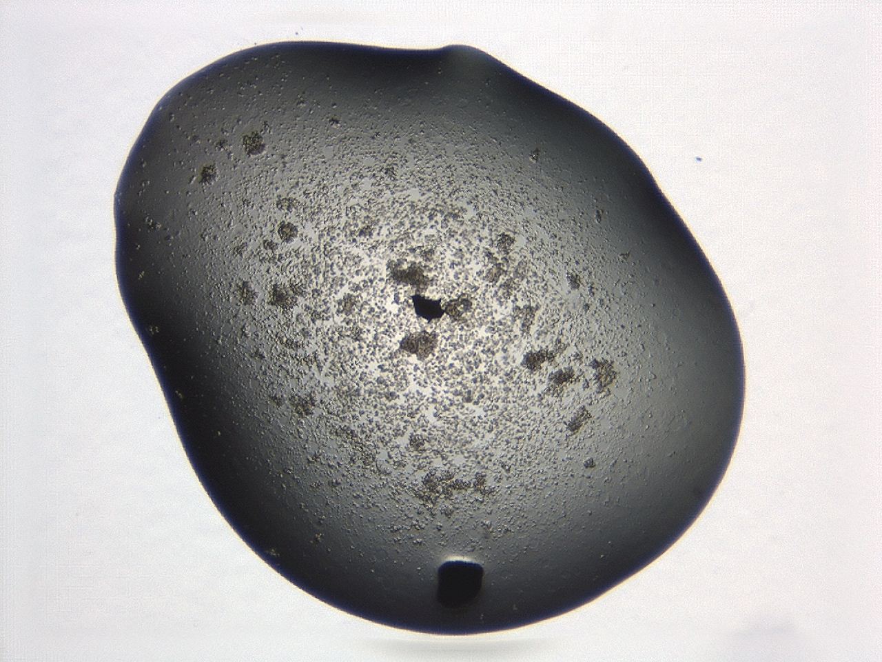 047a_C6_ImagerDefaults_3.jpg