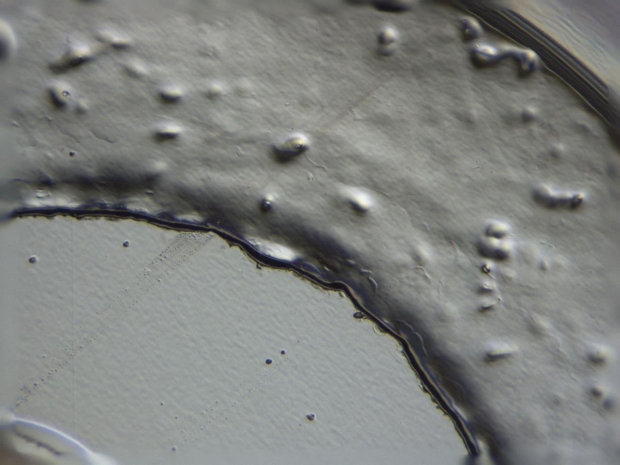 047a_C8_ImagerDefaults_3.jpg