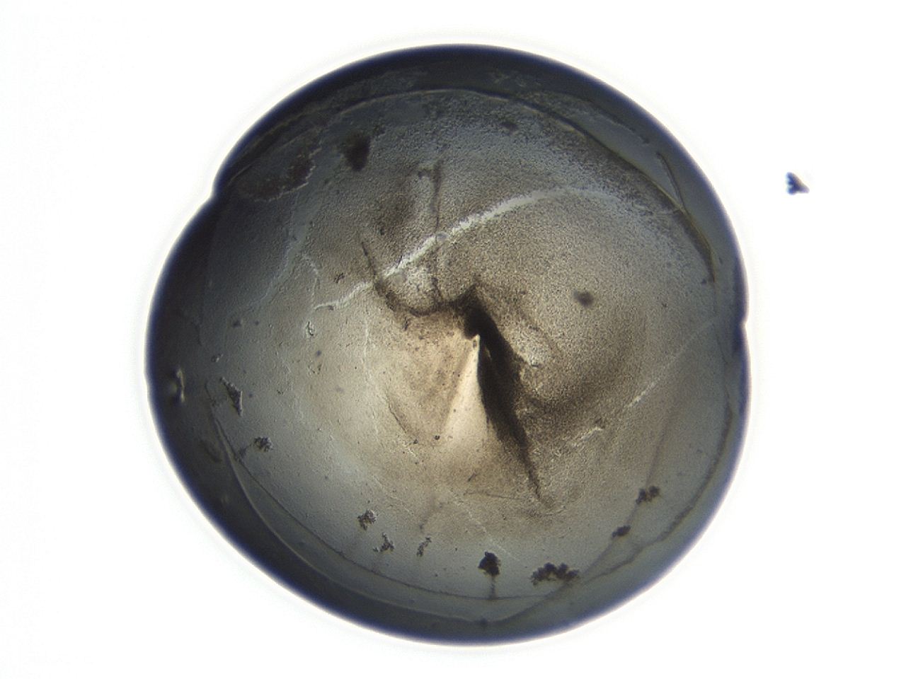 047a_D1_ImagerDefaults_3.jpg