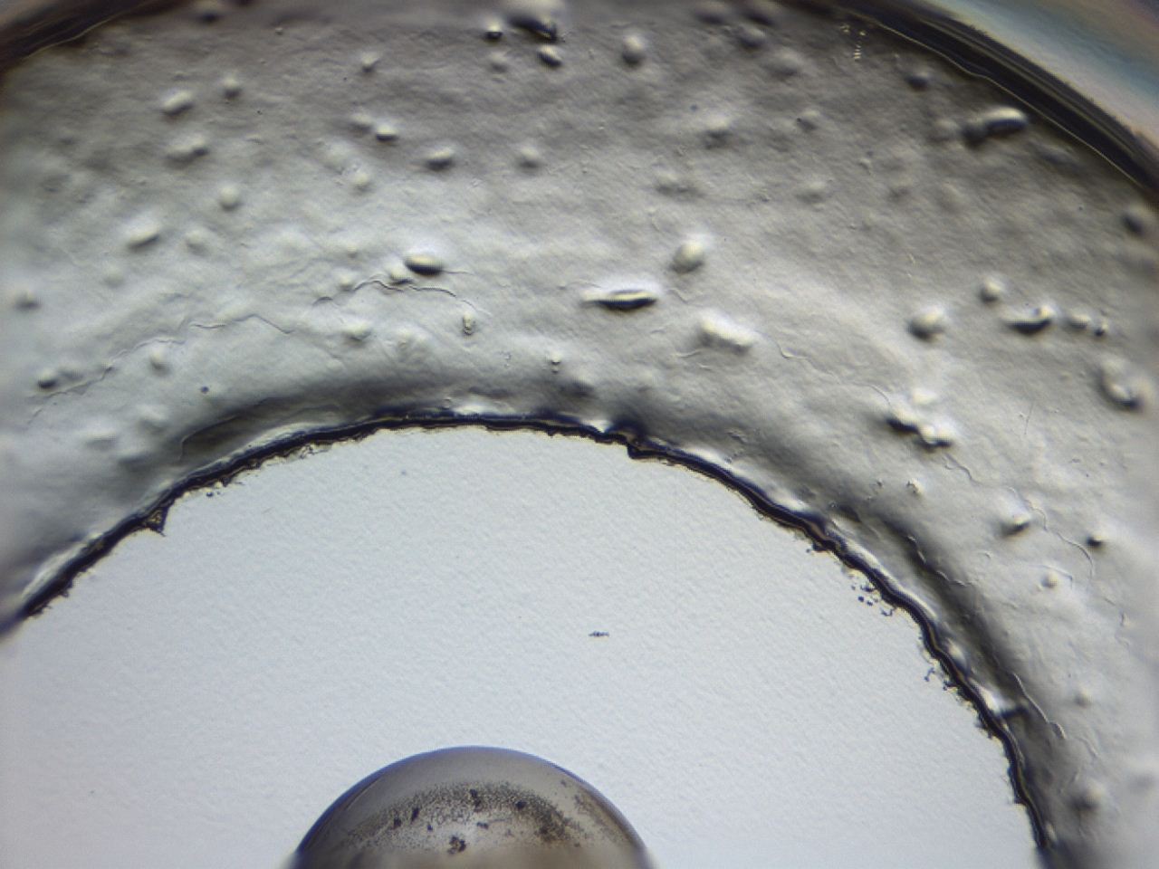 047a_D2_ImagerDefaults_3.jpg