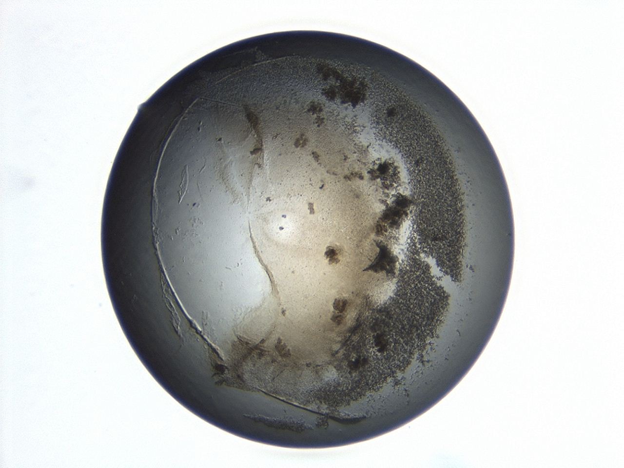 047a_D5_ImagerDefaults_3.jpg