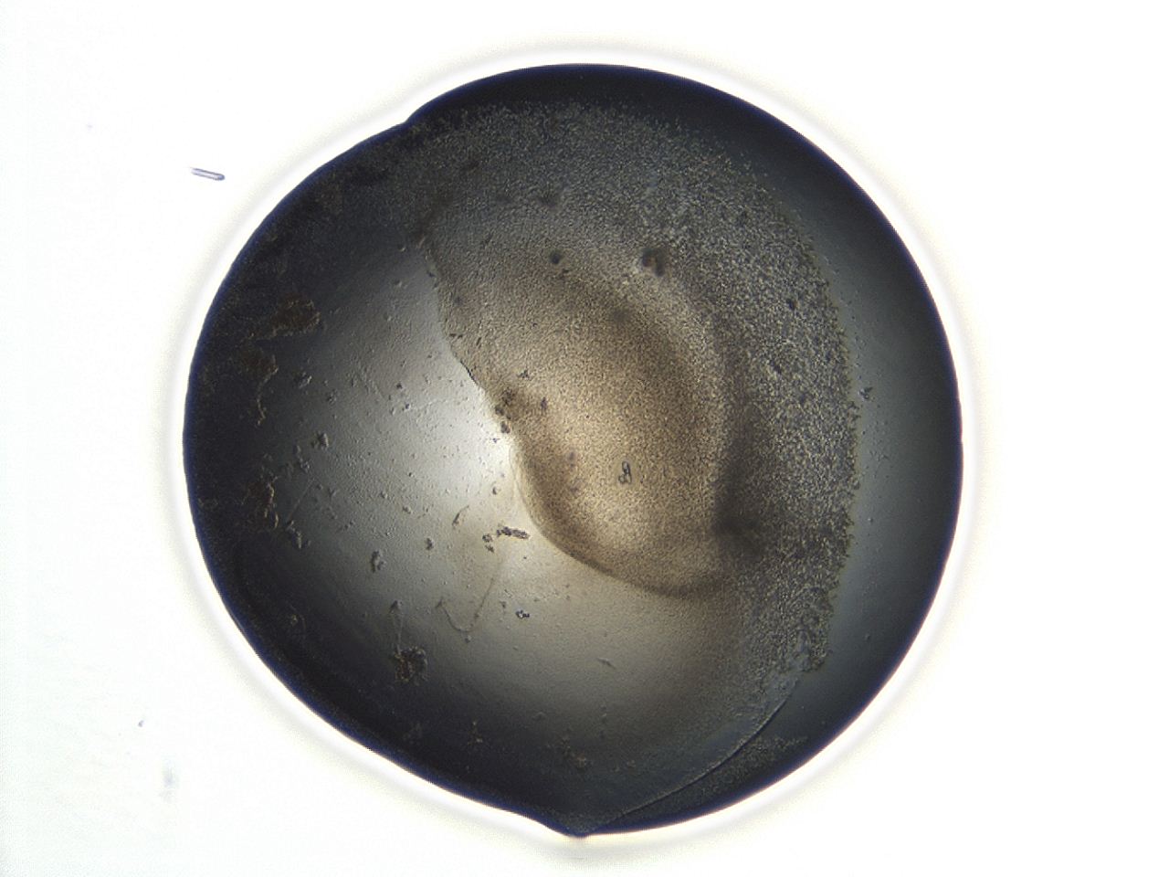 047a_D8_ImagerDefaults_3.jpg