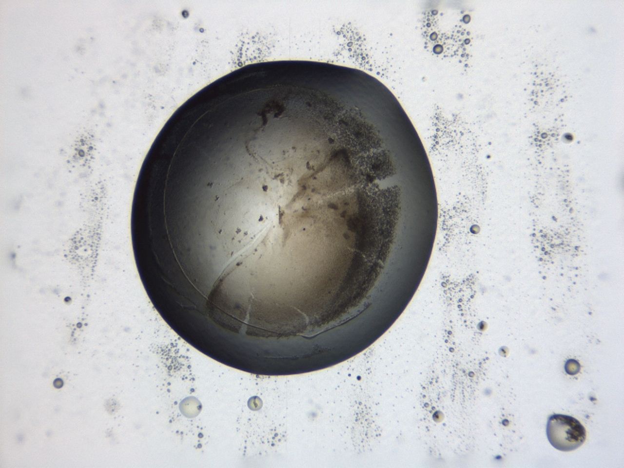 047a_D9_ImagerDefaults_3.jpg