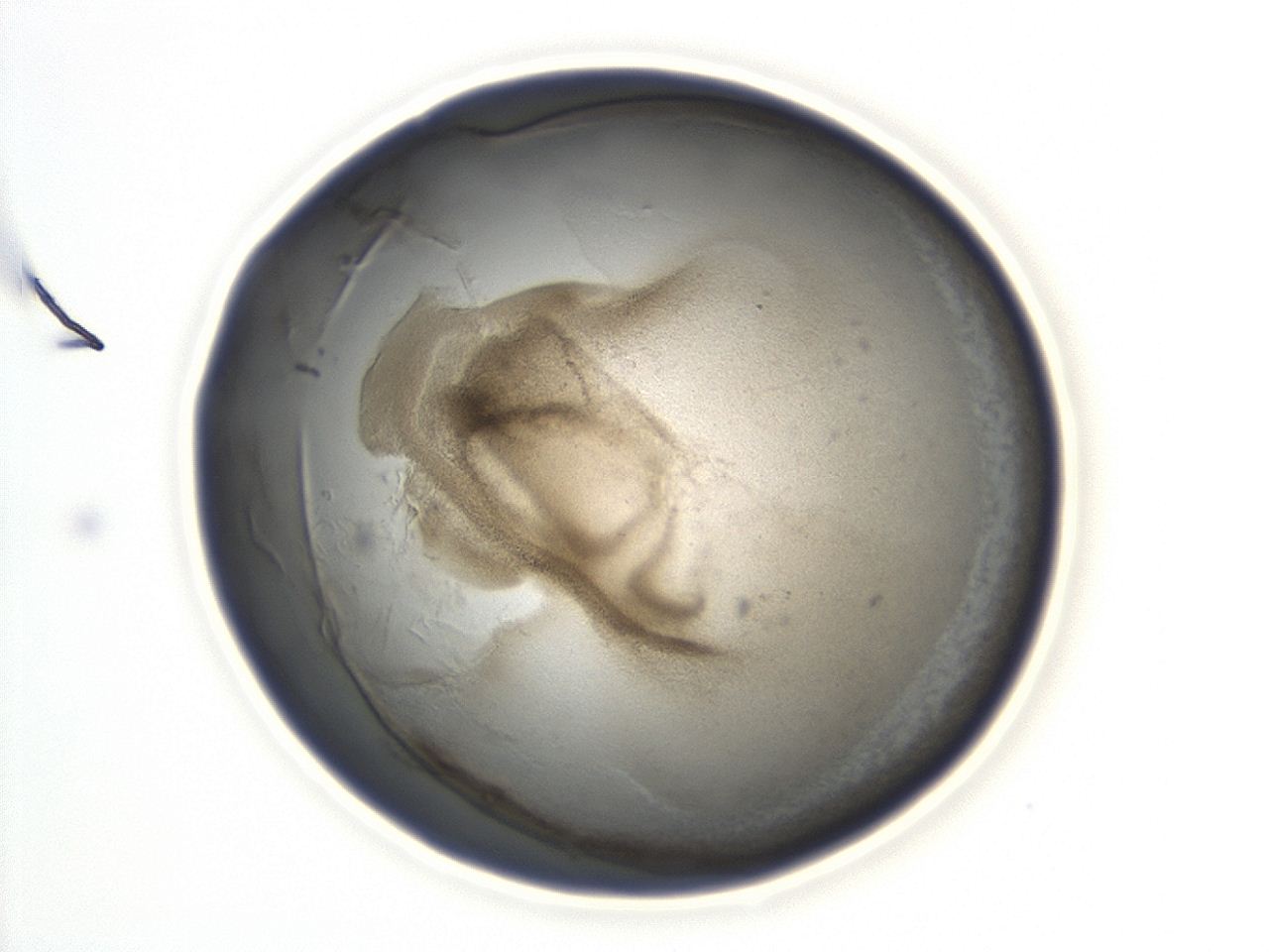 047a_D11_ImagerDefaults_3.jpg