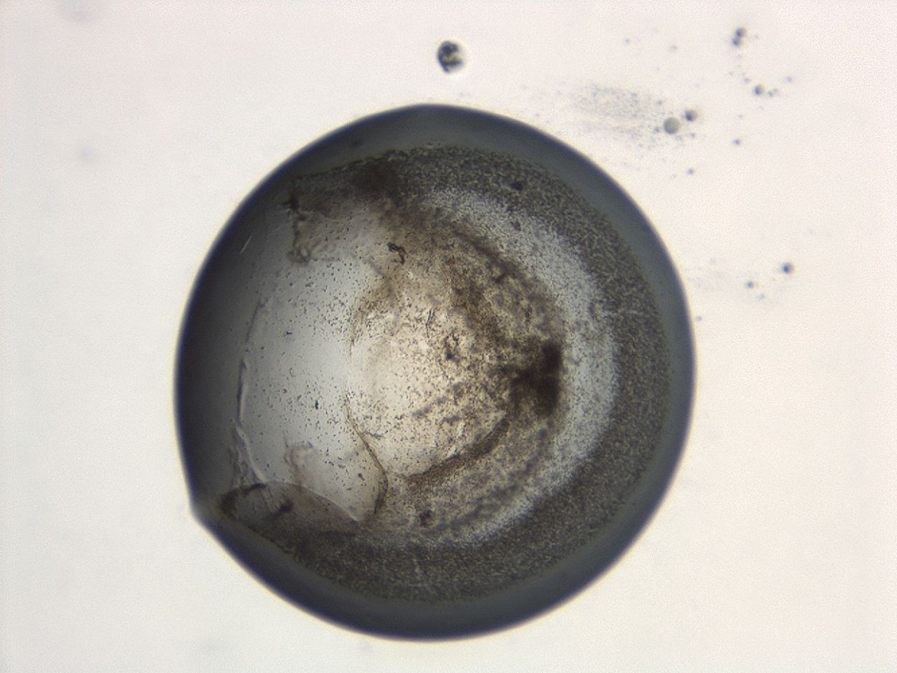 047a_D12_ImagerDefaults_3.jpg