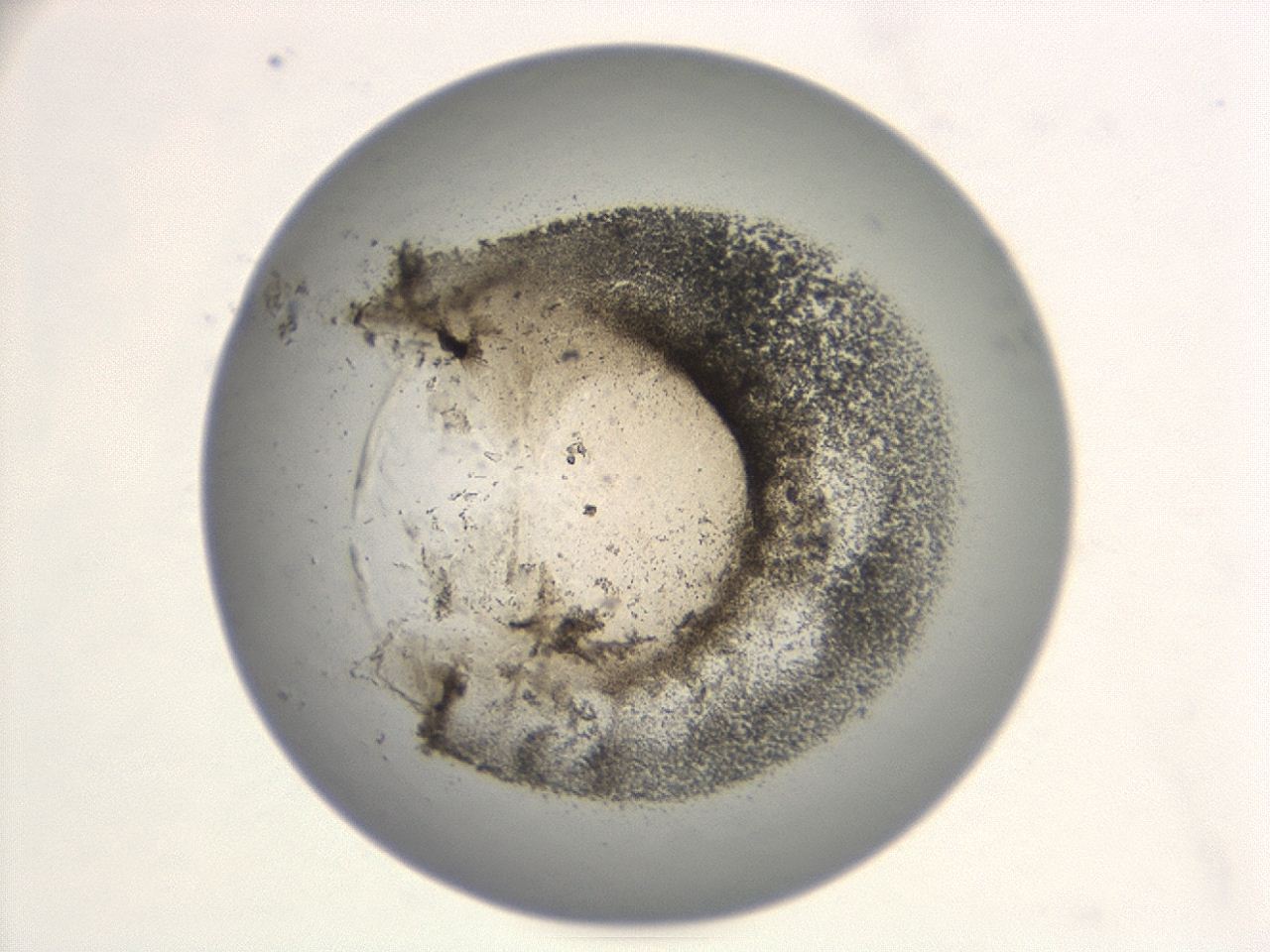 047a_E12_ImagerDefaults_3.jpg
