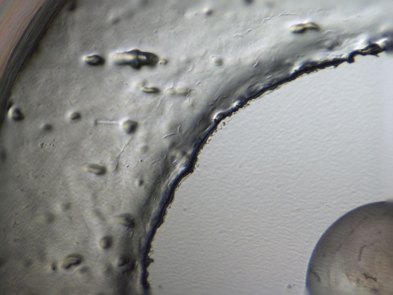 047a_F6_ImagerDefaults_3.jpg
