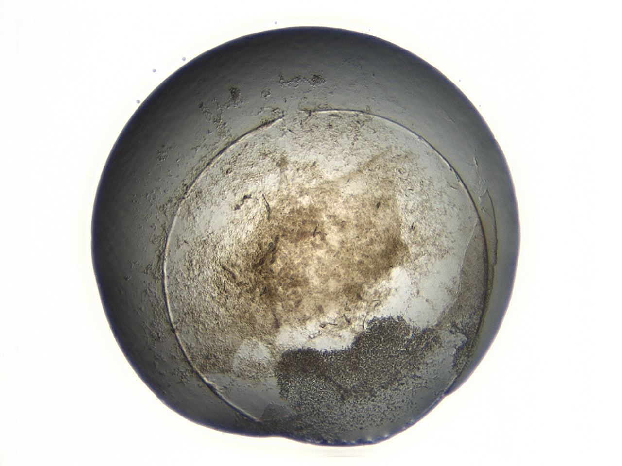 047a_F7_ImagerDefaults_3.jpg