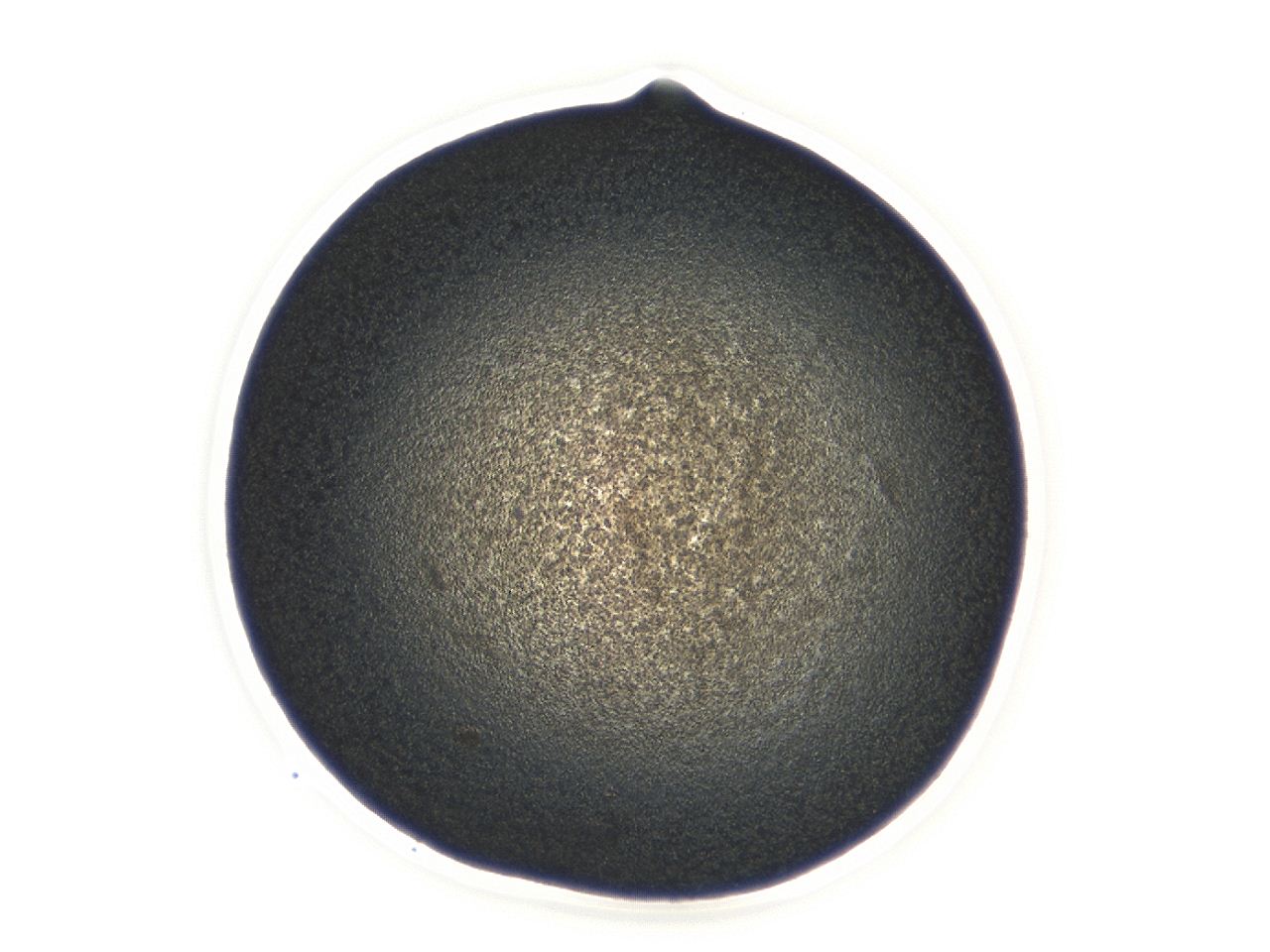 047a_F9_ImagerDefaults_3.jpg