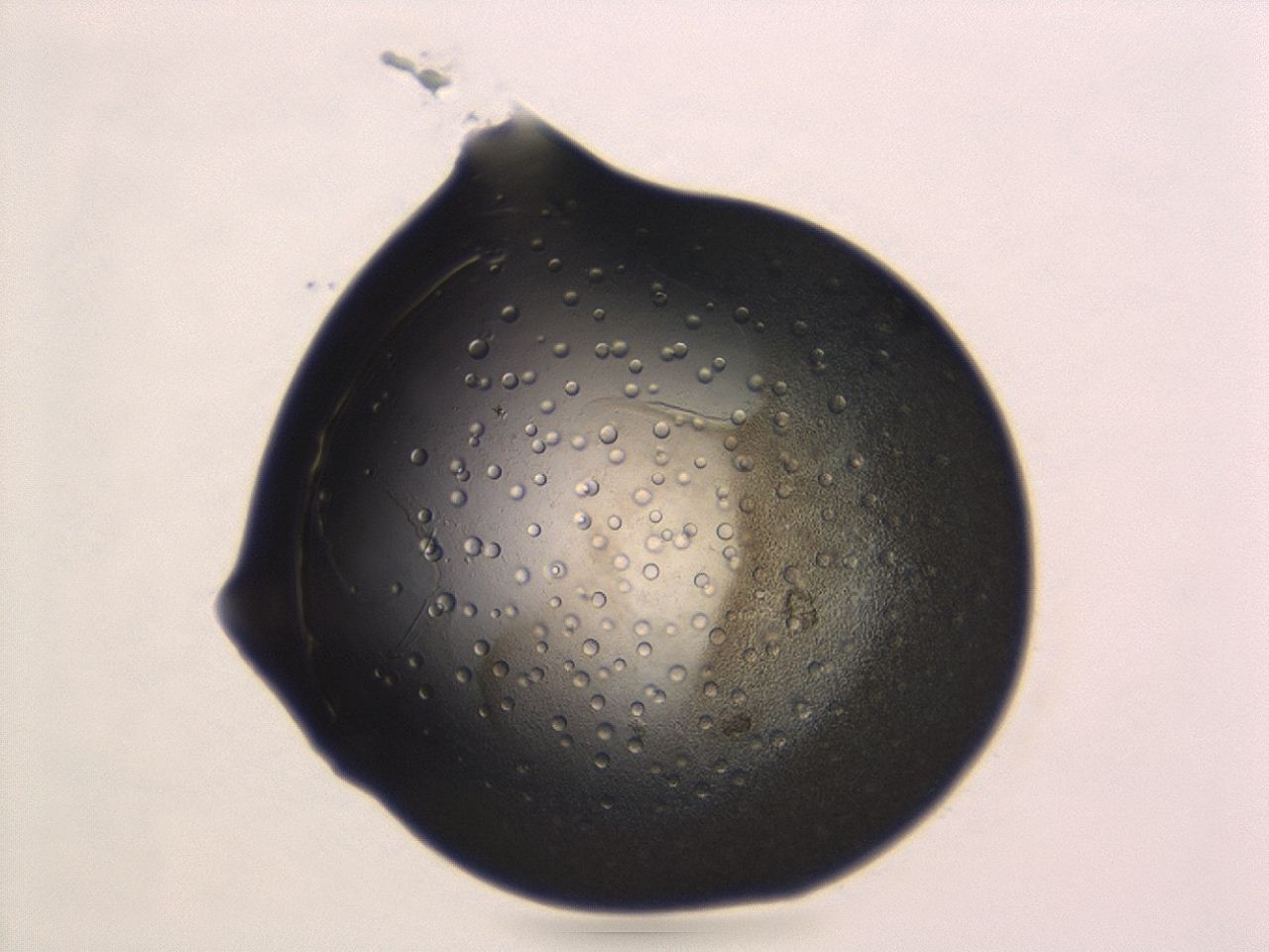 047a_F11_ImagerDefaults_3.jpg